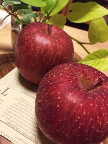 10392353_696878743752921_4962369477940962017_n