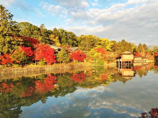 10404210_689563247817804_7446267325289160168_n