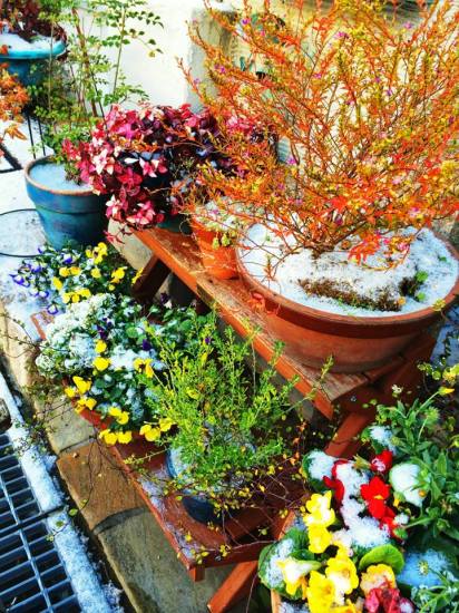 11084_696901837083945_8640128811360044332_n