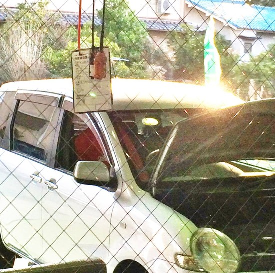 10521900_713009122139883_7561885186042693367_n