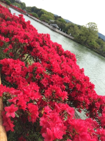 10460490_767064756734319_2226682149074135599_n