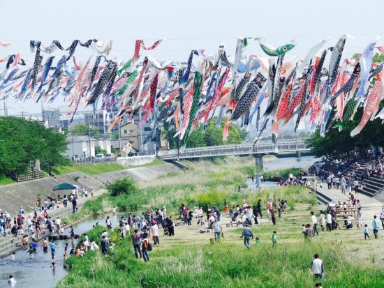 11017450_754499341338476_5651285965731540697_n