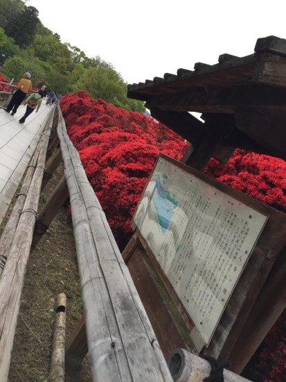 1798677_767064753400986_2158633573230536122_n