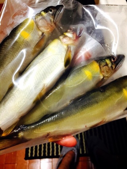 11010974_795840760523385_6036370434186985674_n