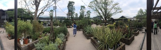 11270407_785375671569894_4636387993945321004_o