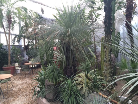 11312996_785503148223813_5832224849288888601_o