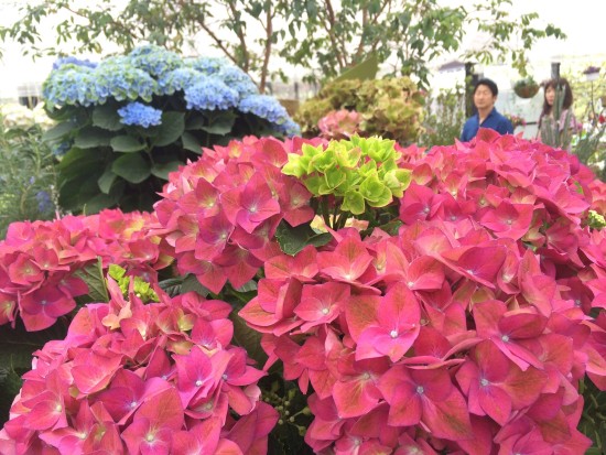 11334214_785505414890253_734033614799144516_o