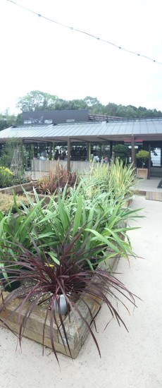 11390098_785375668236561_499307704000759043_n