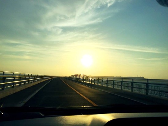 11692787_797652873675507_2278130657129895346_n