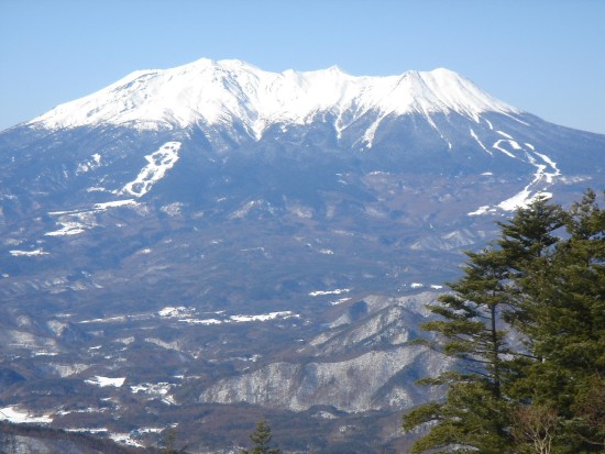 pic_7af3f18195f5bc44657ba35c833ff94e