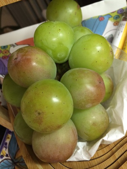 11891399_829887010452093_5078983271148428458_o