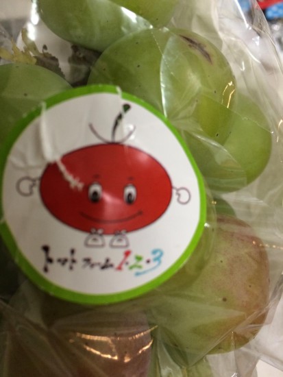 11951427_829887013785426_1180500382459914933_o