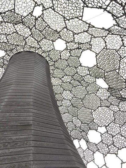 12096134_847631145344346_6423230158131965984_n