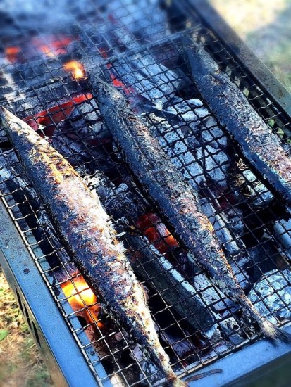 12107135_850248465082614_8836153536912014688_n