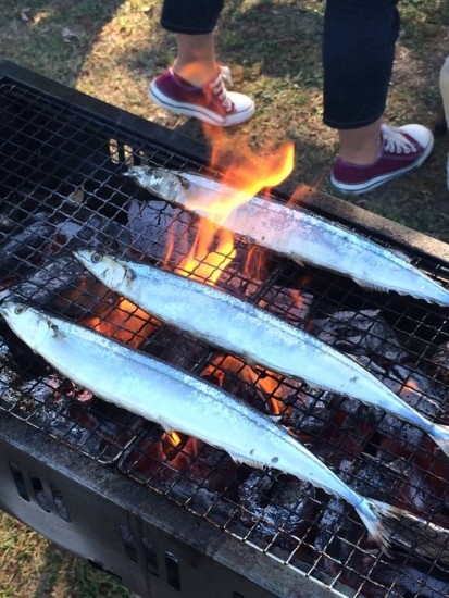 12111992_850248461749281_4632590537610806942_n