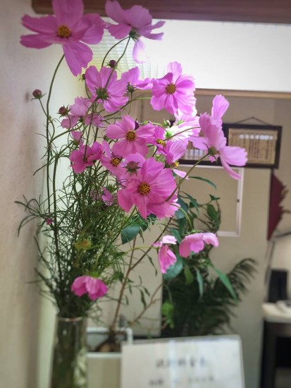 12141517_845421365565324_2457707660902789500_n