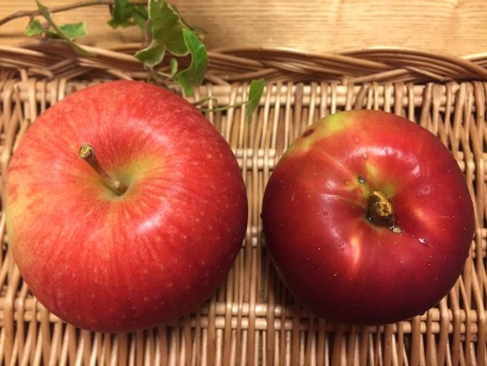 12208649_860933030680824_1314664616559779526_n