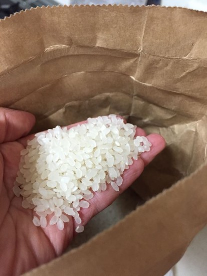 12376822_874608095979984_4402527459219535941_n