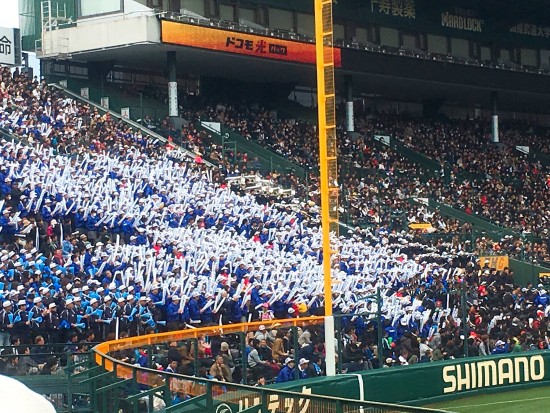 12322705_933219596785500_8686624662081881064_o