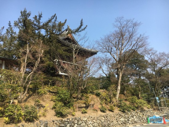 12764888_915360998571360_6062257162007906507_o