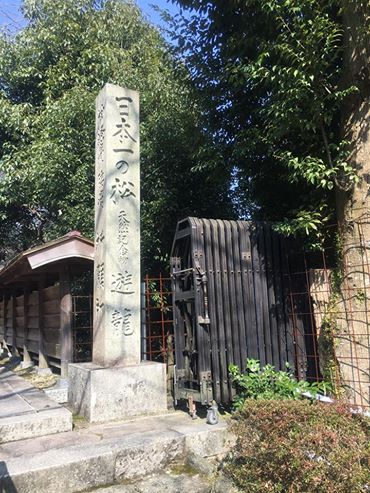 12801340_915360781904715_318106549173840859_n