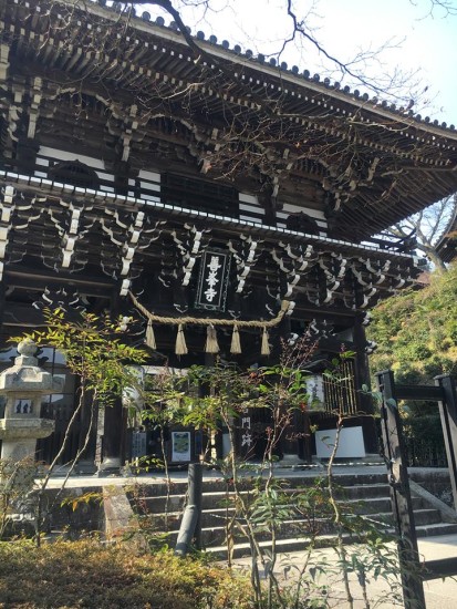 12802982_915360918571368_8734790506162859210_n