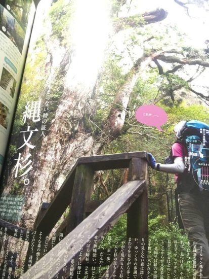 13102779_961003307340462_3545174086081032403_n