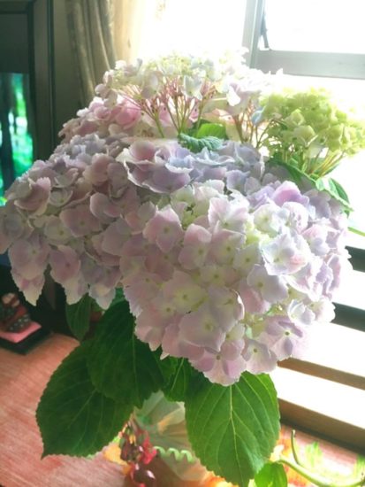 13151462_955871751186951_6301450967250356919_n