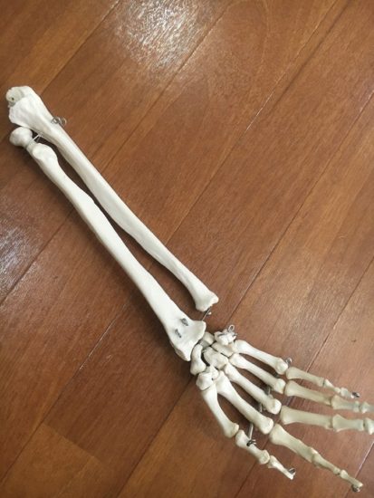 13240744_971300769644049_2446108112586279372_n