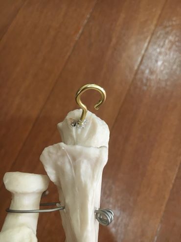 13254584_971300839644042_1285367268639203206_n