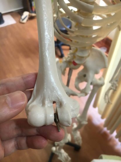 13260190_971300772977382_1885279821365424868_n