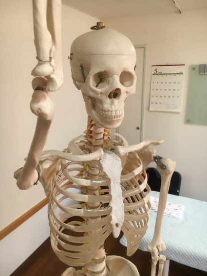 13312599_971300842977375_2315636699924742280_n