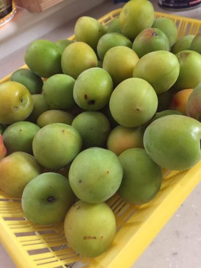 13459585_983414135099379_1742773480_n