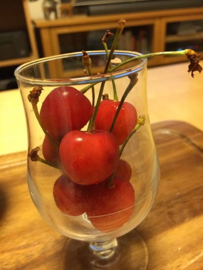 13521129_988497157924410_50729062_n