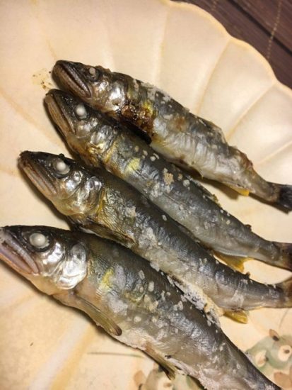 13608222_997973910310068_791432871_n