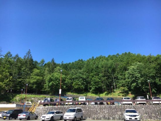 13706104_1005950292845763_1619001036_n