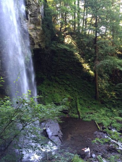 13731447_1059043257514032_7332678236772657348_n