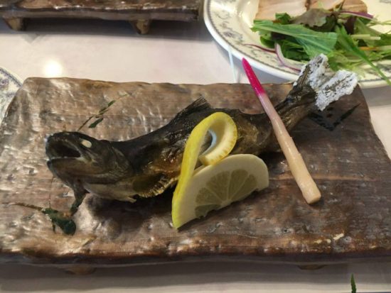 13815235_1005950149512444_1722252632_n