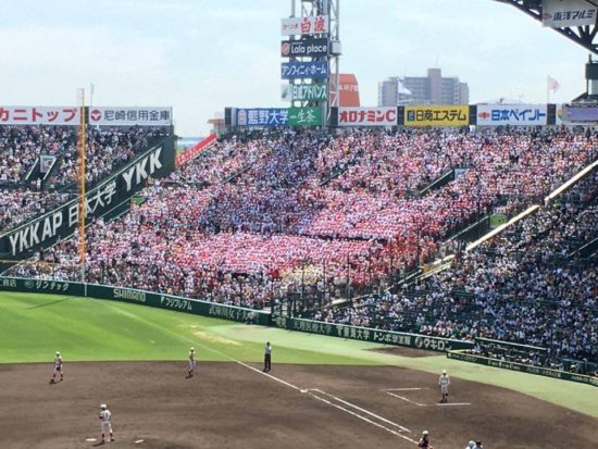 13988670_1020333784740747_2126960551_n