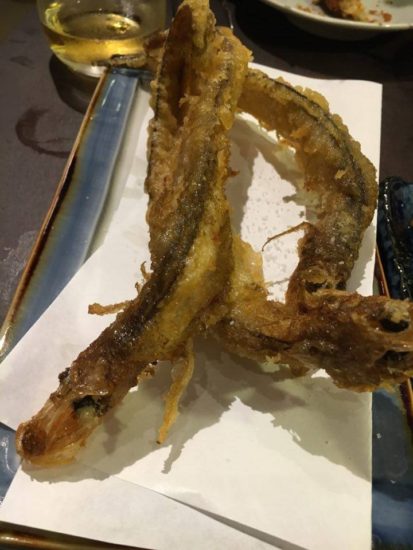 14009899_1026637964110329_114810720_n