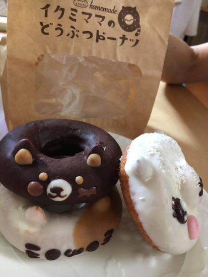 14159763_1036168596490599_1932133985_n