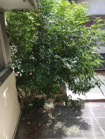 14218137_1043984612375664_449273189_n