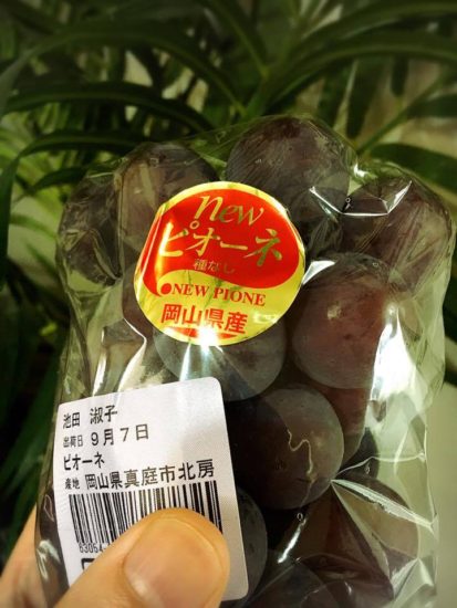 14269542_1046534118787380_1012415151_n