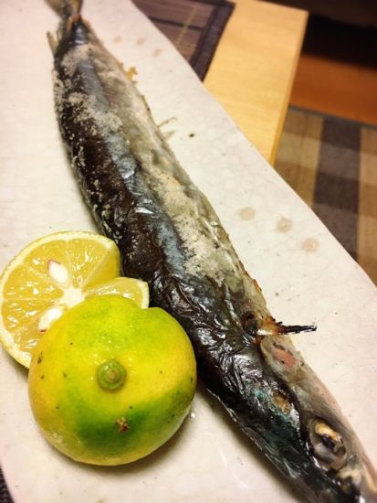 14502080_1061611290612996_461616132_n