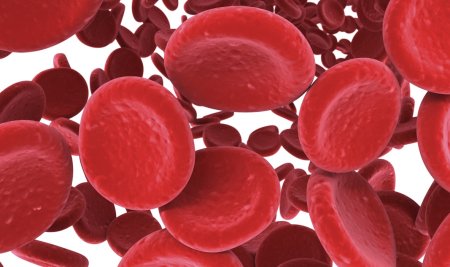 redbloodcells01
