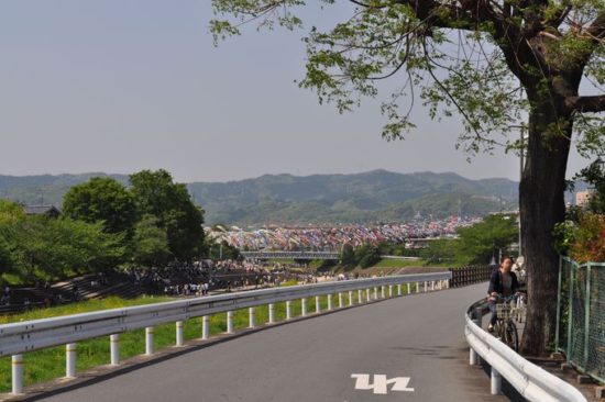 写真：犬山 コベジ