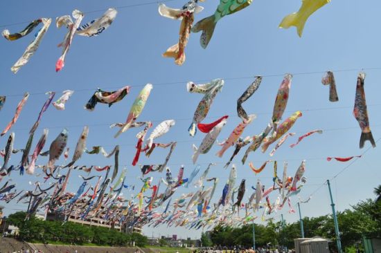写真：犬山 コベジ